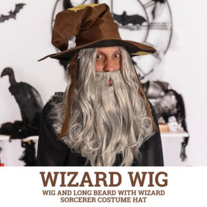 Wizard Wig and Long Beard with Costume Hat